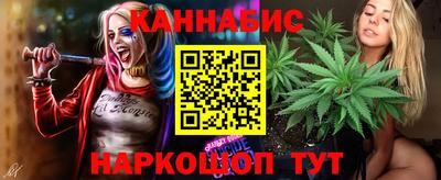 шишки Кинель