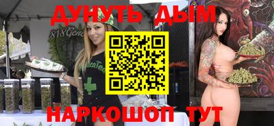 прущие крисы Кингисепп