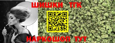 прущие крисы Кингисепп