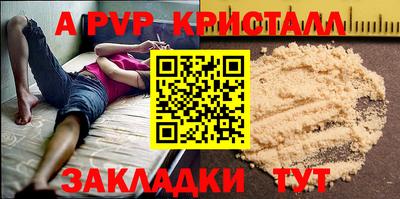 прущие крисы Кингисепп