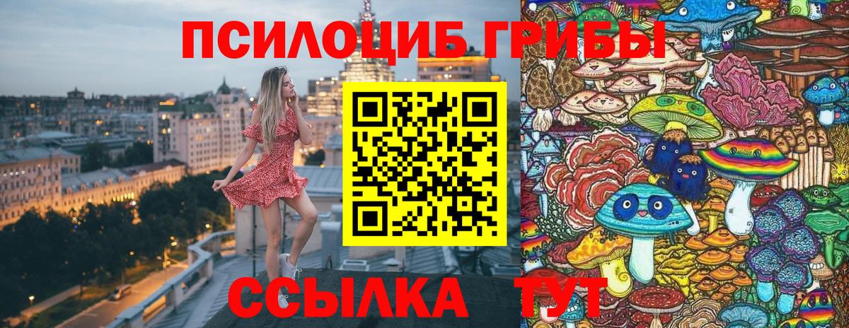 Галлюциногенные грибы Psilocybe  Вход с VPN  Красногорск 