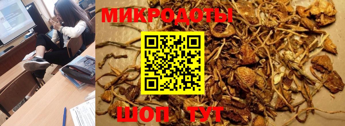 Галлюциногенные грибы мицелий Красногорск